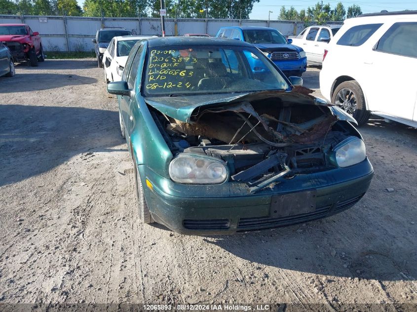 2001 Volkswagen Golf VIN: 9BWGP21J314066863 Lot: 12065893