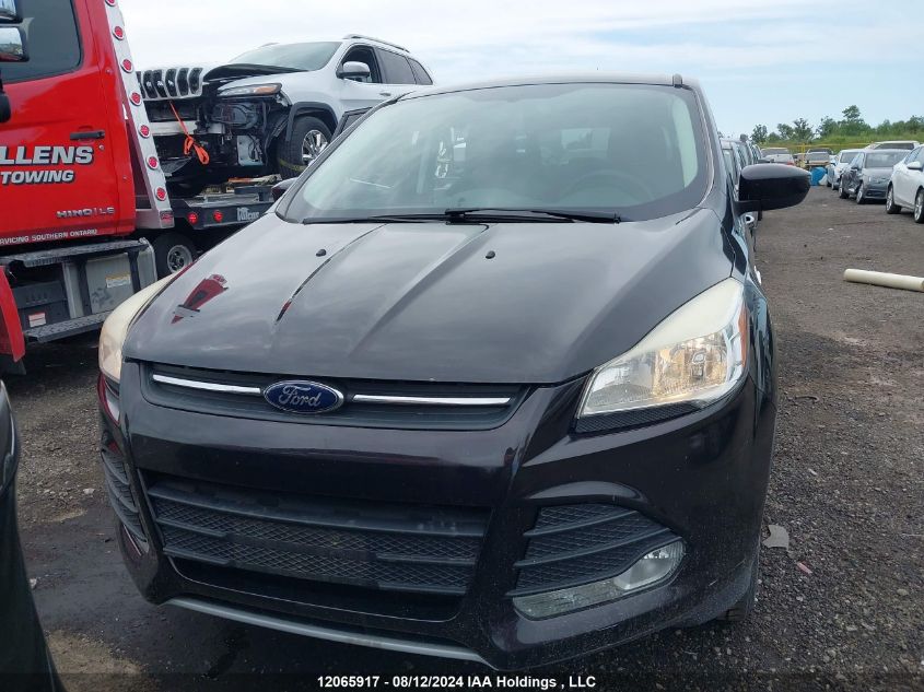 2013 Ford Escape VIN: 1FMCU0GX9DUB03626 Lot: 12065917