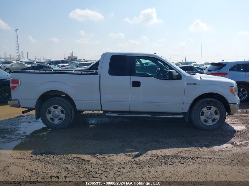 2013 Ford F-150 Xlt VIN: 1FTEX1CM8DFB55193 Lot: 12065935