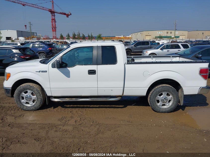 2013 Ford F-150 Xlt VIN: 1FTEX1CM8DFB55193 Lot: 12065935