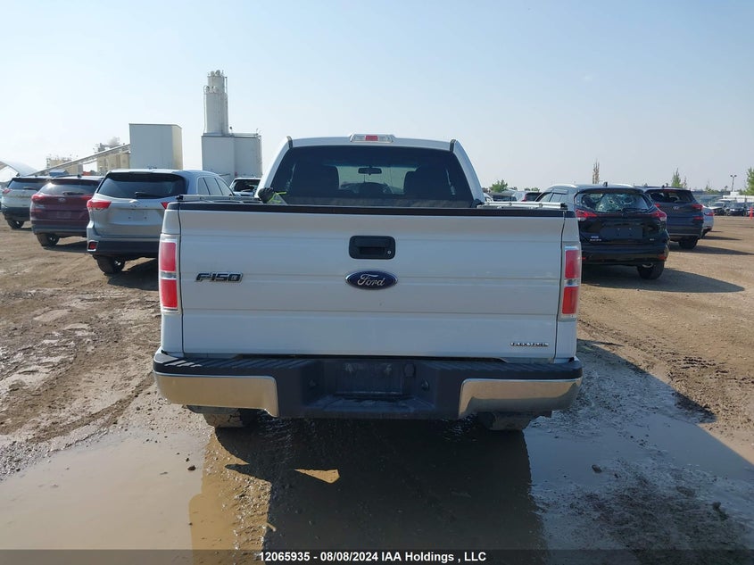 2013 Ford F-150 Xlt VIN: 1FTEX1CM8DFB55193 Lot: 12065935
