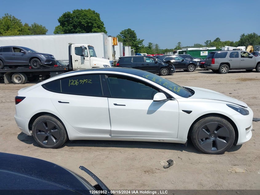 2023 Tesla Model 3 VIN: LRW3E1FA9PC891724 Lot: 12065952