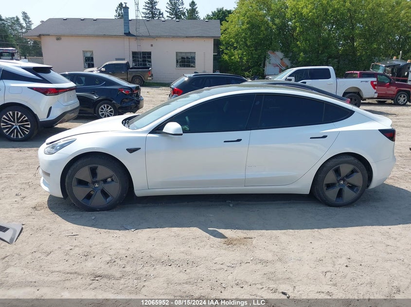 2023 Tesla Model 3 VIN: LRW3E1FA9PC891724 Lot: 12065952