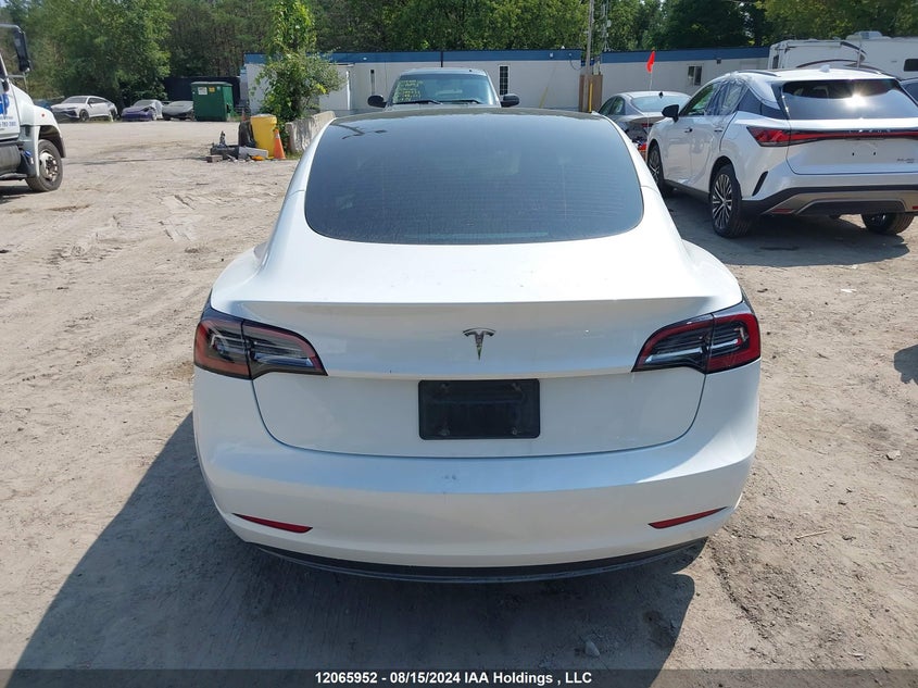 2023 Tesla Model 3 VIN: LRW3E1FA9PC891724 Lot: 12065952