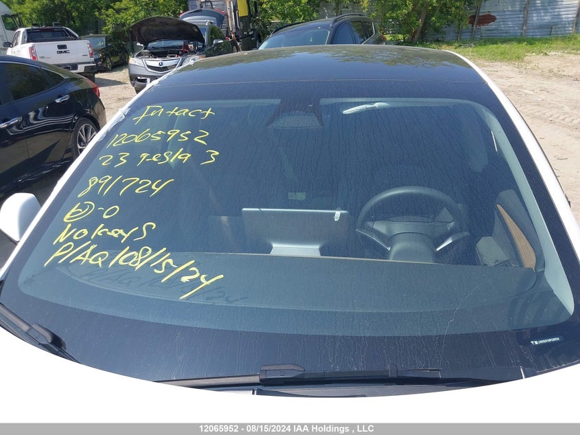 2023 Tesla Model 3 VIN: LRW3E1FA9PC891724 Lot: 12065952