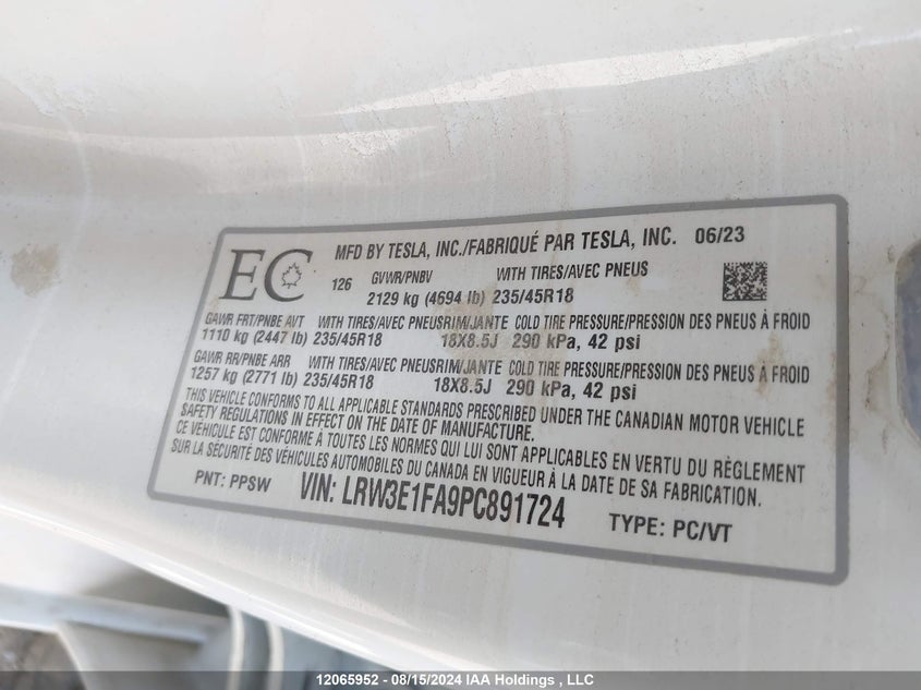 2023 Tesla Model 3 VIN: LRW3E1FA9PC891724 Lot: 12065952