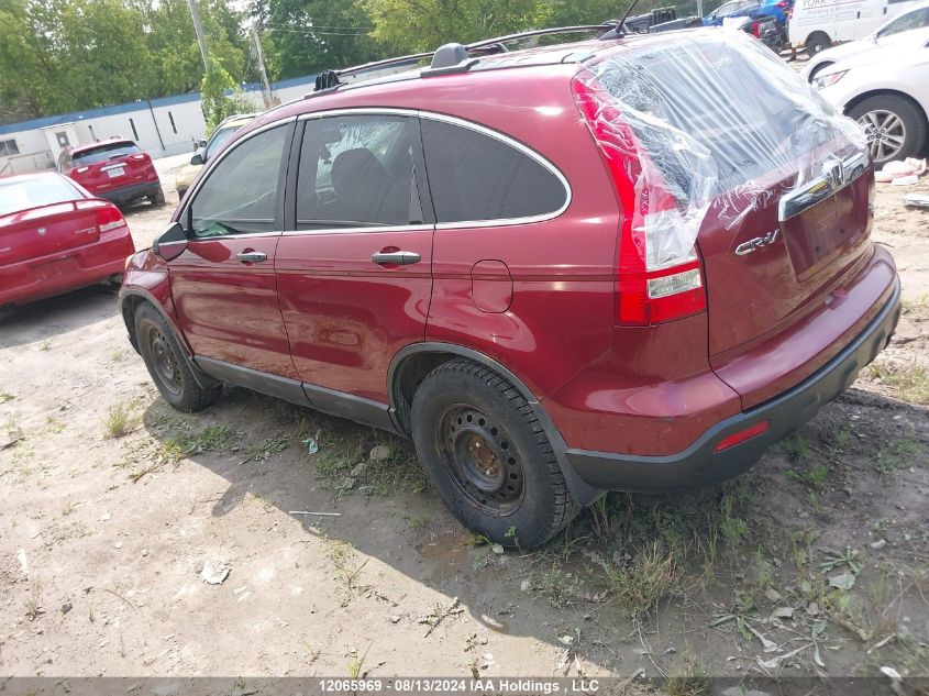 2009 Honda Cr-V Ex VIN: 5J6RE38539L800131 Lot: 12065969