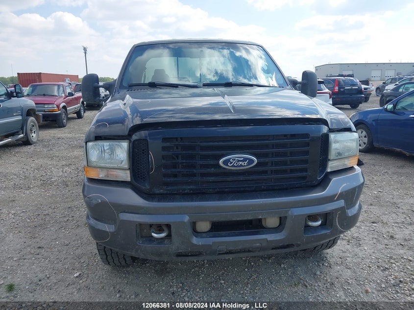 2004 Ford Super Duty F-250 VIN: 1FTNW21P24EC04934 Lot: 12066381