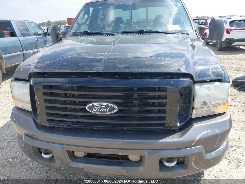 2004 Ford Super Duty F-250 VIN: 1FTNW21P24EC04934 Lot: 12066381