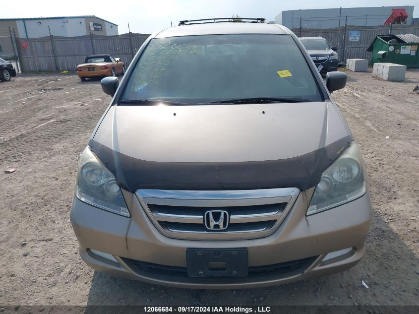 2006 Honda Odyssey VIN: 5FNRL38216B511572 Lot: 12066684