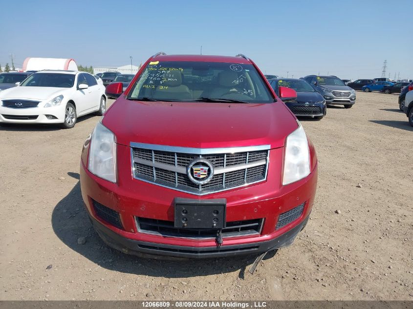 2012 Cadillac Srx Luxury Collection VIN: 3GYFNDE34CS595691 Lot: 12066809