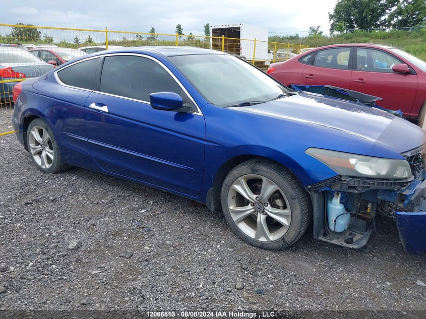 2011 Honda Accord Exl VIN: 1HGCS2B88BA800145 Lot: 12066813
