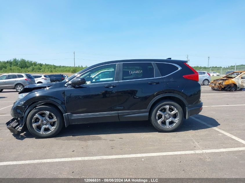 2019 Honda Cr-V Exl VIN: 2HKRW2H80KH142494 Lot: 12066831