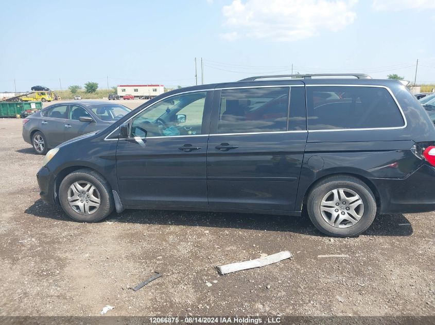 2007 Honda Odyssey VIN: 5FNRL38727B506782 Lot: 12066875