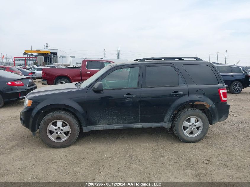 2010 Ford Escape Xlt VIN: 1FMCU9DG0AKB26132 Lot: 12067296