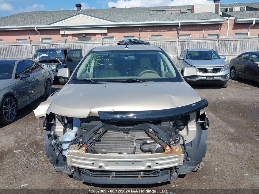 2007 Ford Edge VIN: 2FMDK39C67BB01316 Lot: 12067309