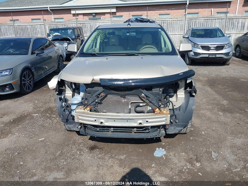 2007 Ford Edge VIN: 2FMDK39C67BB01316 Lot: 12067309