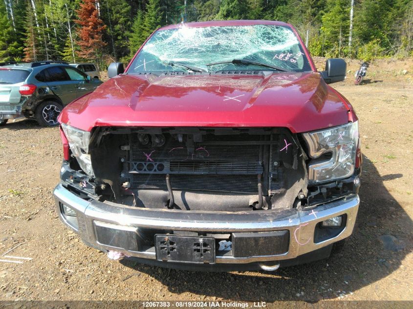 2017 Ford F-150 Xlt VIN: 1FTFW1EF4HFB95198 Lot: 12067383