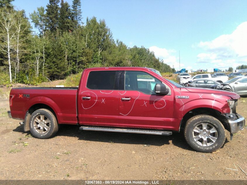 2017 Ford F-150 Xlt VIN: 1FTFW1EF4HFB95198 Lot: 12067383