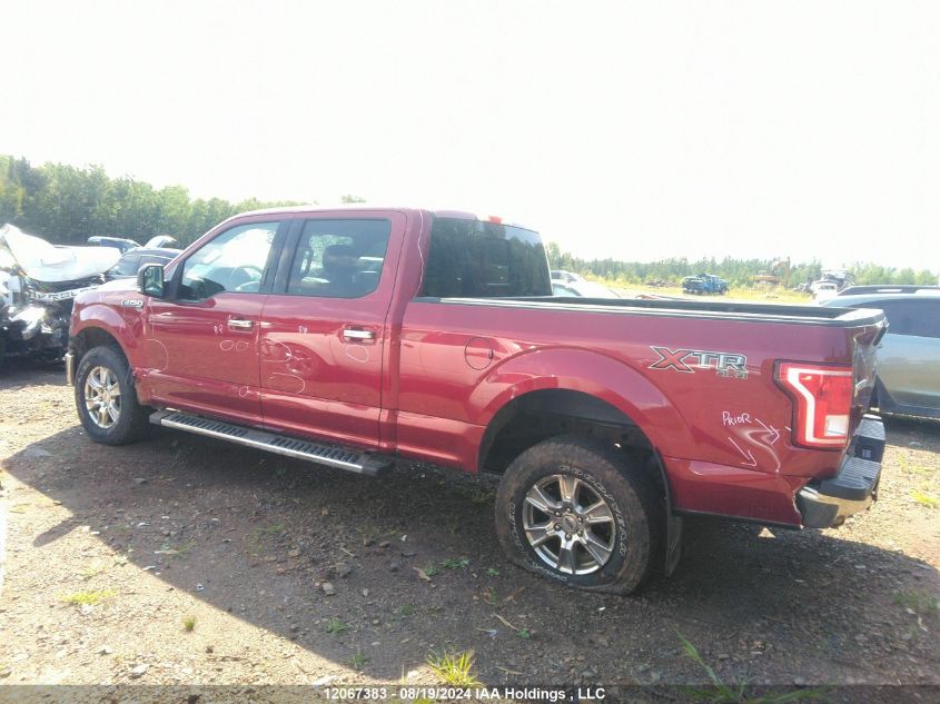 2017 Ford F-150 Xlt VIN: 1FTFW1EF4HFB95198 Lot: 12067383