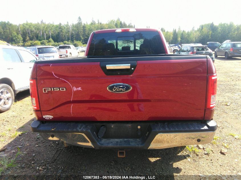 2017 Ford F-150 Xlt VIN: 1FTFW1EF4HFB95198 Lot: 12067383