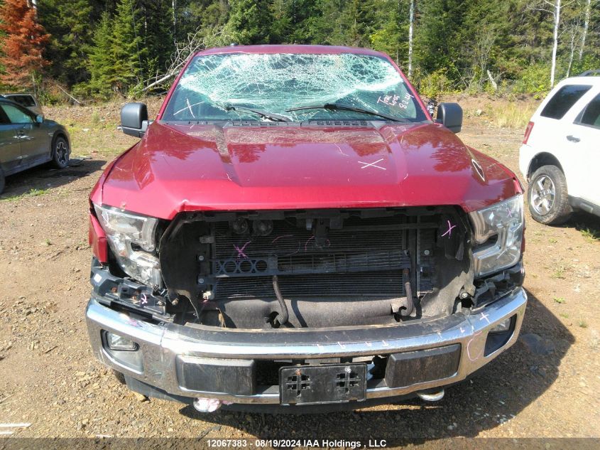 2017 Ford F-150 Xlt VIN: 1FTFW1EF4HFB95198 Lot: 12067383