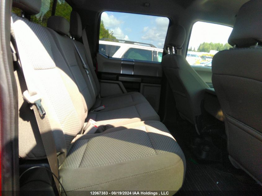 2017 Ford F-150 Xlt VIN: 1FTFW1EF4HFB95198 Lot: 12067383