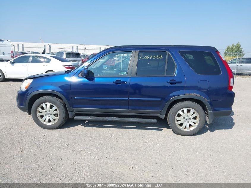 2005 Honda Cr-V VIN: JHLRD789X5C802281 Lot: 12067387