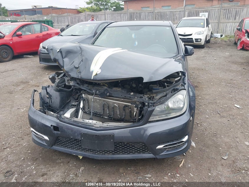 2014 Mercedes-Benz C 300 4Matic VIN: WDDGF8ABXEA893586 Lot: 12067435