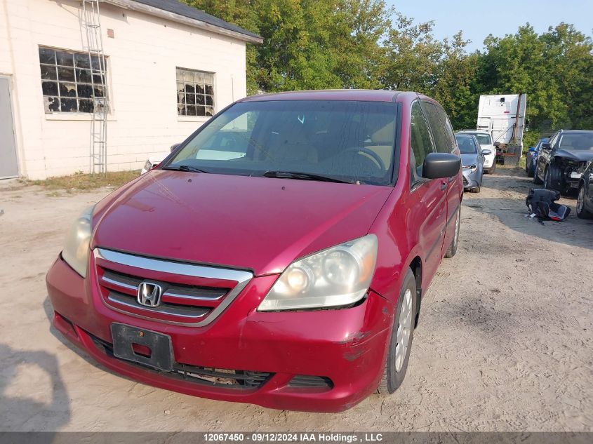 2006 Honda Odyssey VIN: 5FNRL38266B505413 Lot: 12067450