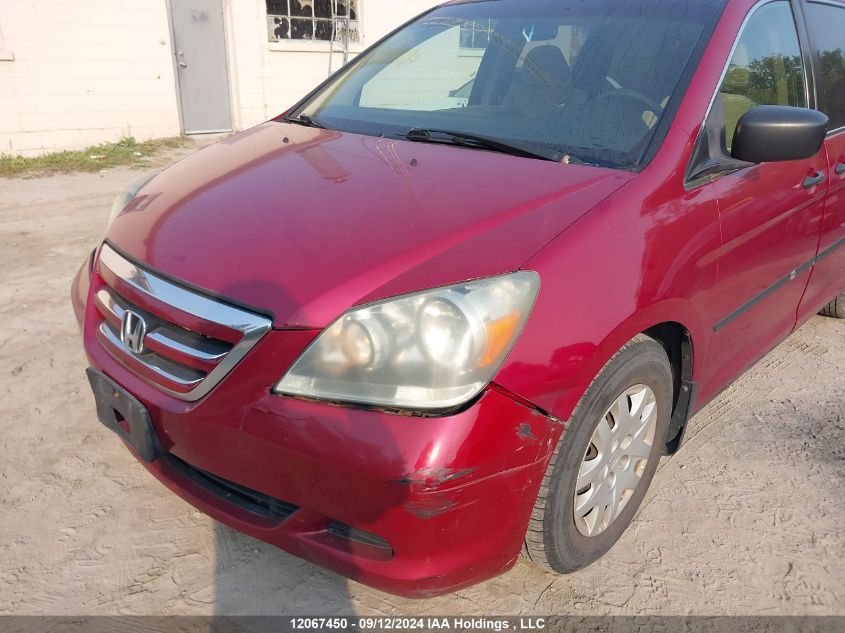 2006 Honda Odyssey VIN: 5FNRL38266B505413 Lot: 12067450