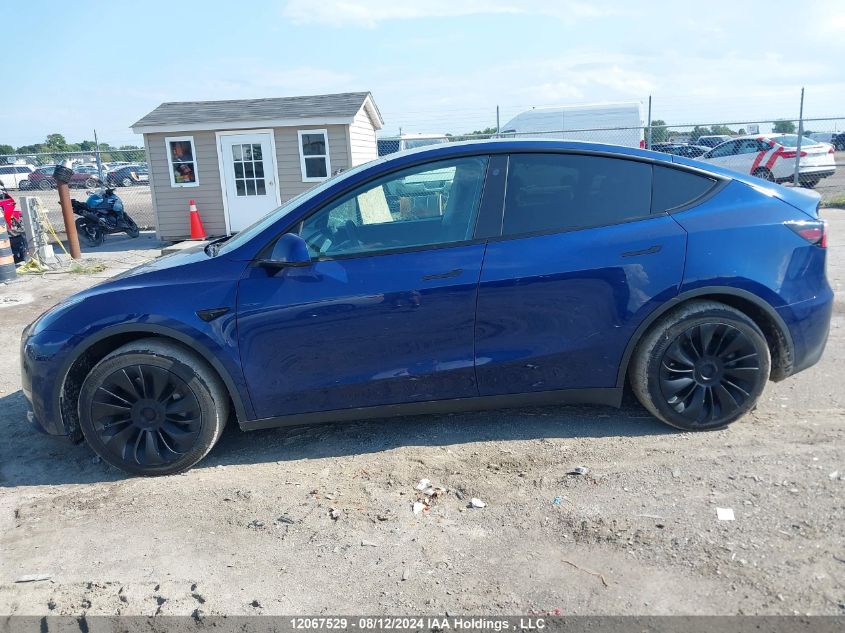 2022 Tesla Model Y VIN: 7SAYGDEE5NF357955 Lot: 12067529