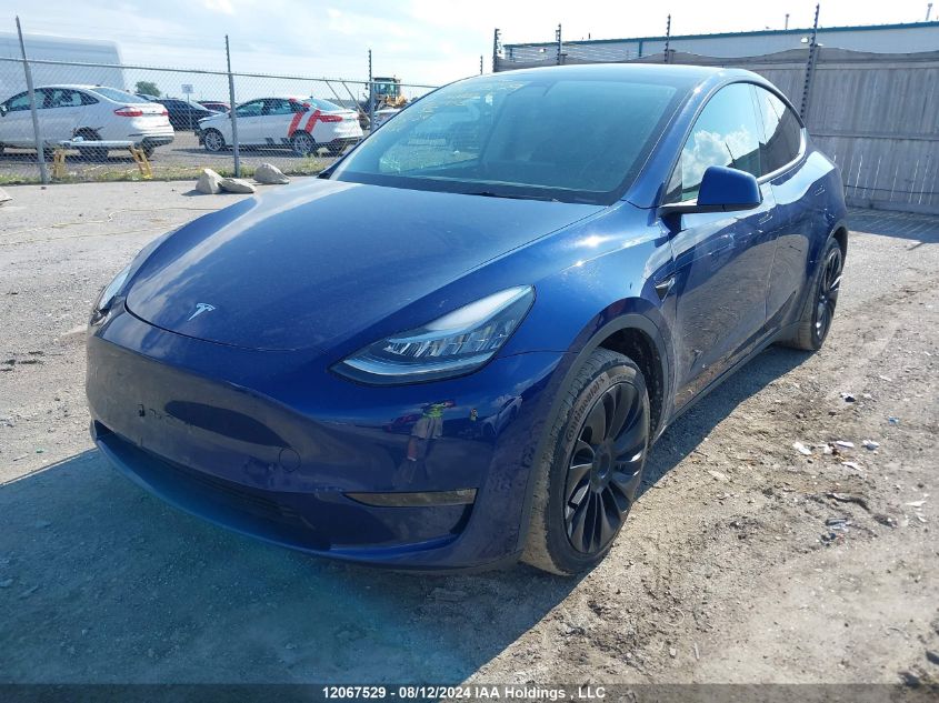 2022 Tesla Model Y VIN: 7SAYGDEE5NF357955 Lot: 12067529