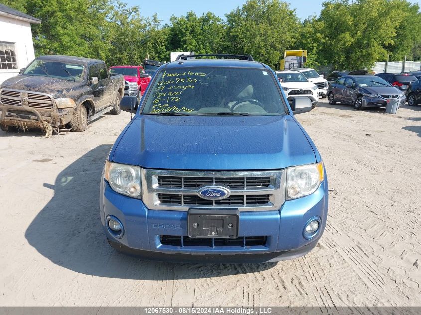 2009 Ford Escape Xlt VIN: 1FMCU03G69KC84404 Lot: 12067530