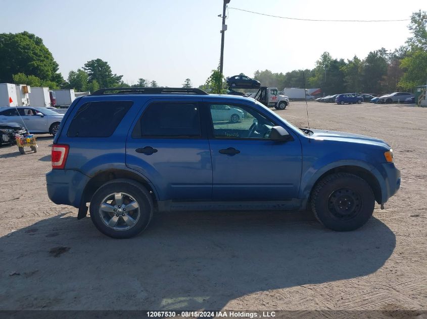 2009 Ford Escape Xlt VIN: 1FMCU03G69KC84404 Lot: 12067530
