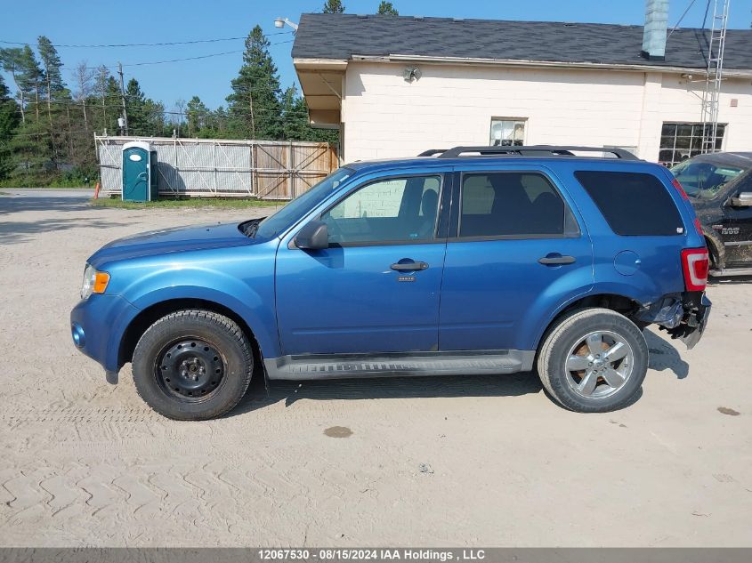 2009 Ford Escape Xlt VIN: 1FMCU03G69KC84404 Lot: 12067530
