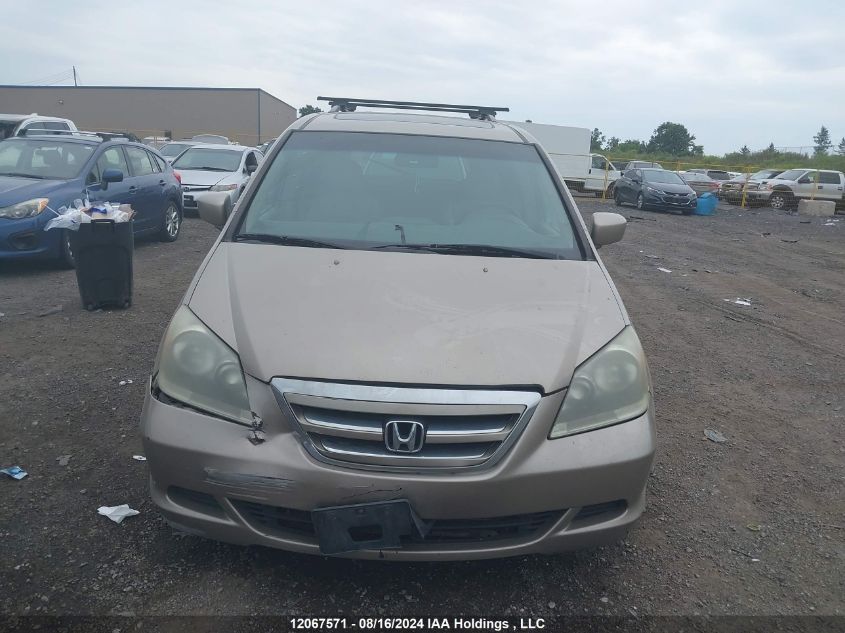2006 Honda Odyssey Exl VIN: 5FNRL38646B508359 Lot: 12067571