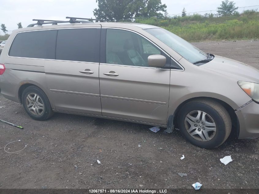 2006 Honda Odyssey Exl VIN: 5FNRL38646B508359 Lot: 12067571