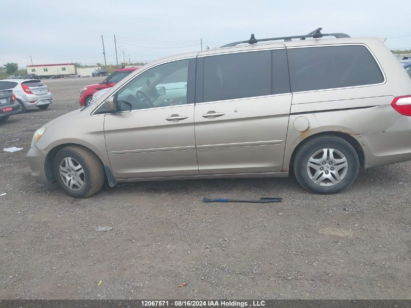 2006 Honda Odyssey Exl VIN: 5FNRL38646B508359 Lot: 12067571