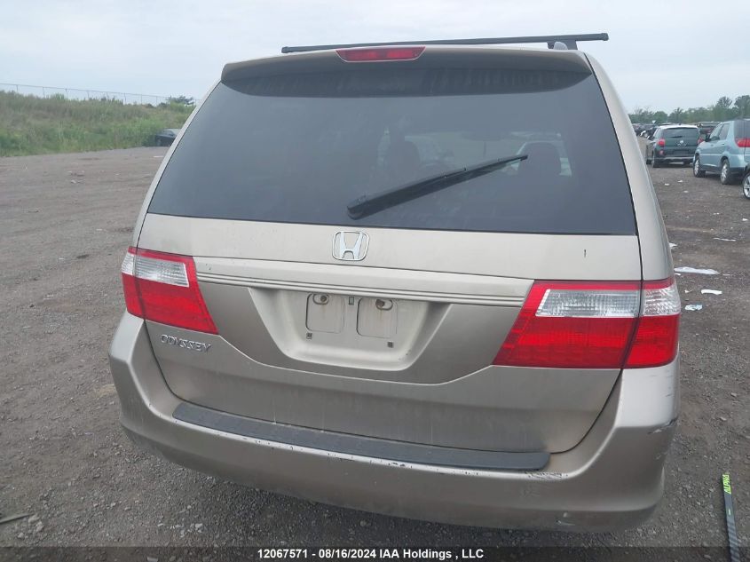 2006 Honda Odyssey Exl VIN: 5FNRL38646B508359 Lot: 12067571