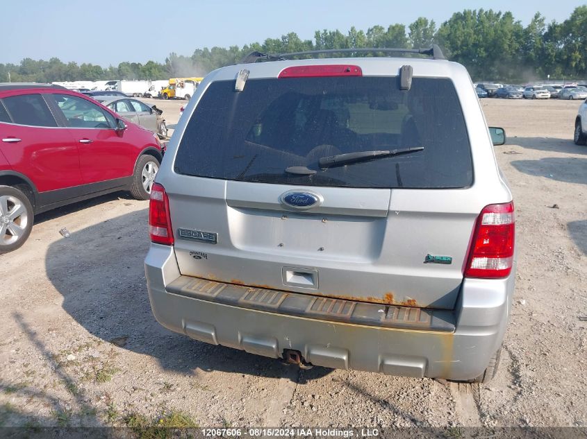 2012 Ford Escape Xlt VIN: 1FMCU0DG0CKA11559 Lot: 12067606
