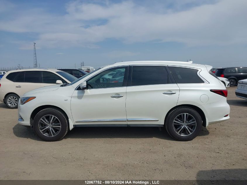 2019 Infiniti Qx60 Luxe/Pure VIN: 5N1DL0MMXKC530902 Lot: 12067752