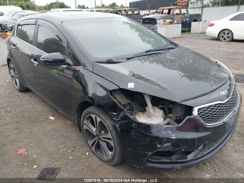 2014 Kia Forte 5-Door VIN: KNAFX5A81E5212288 Lot: 12067816