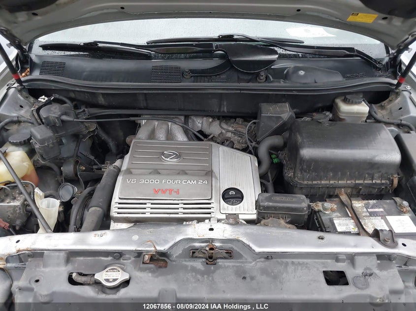 2003 Lexus Rx 300 VIN: JTJHF10U130313134 Lot: 12067856