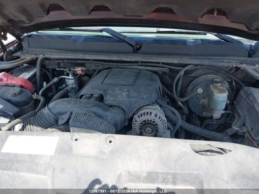 2009 Chevrolet Silverado 1500 VIN: 1GCEK19C99Z145064 Lot: 12067991