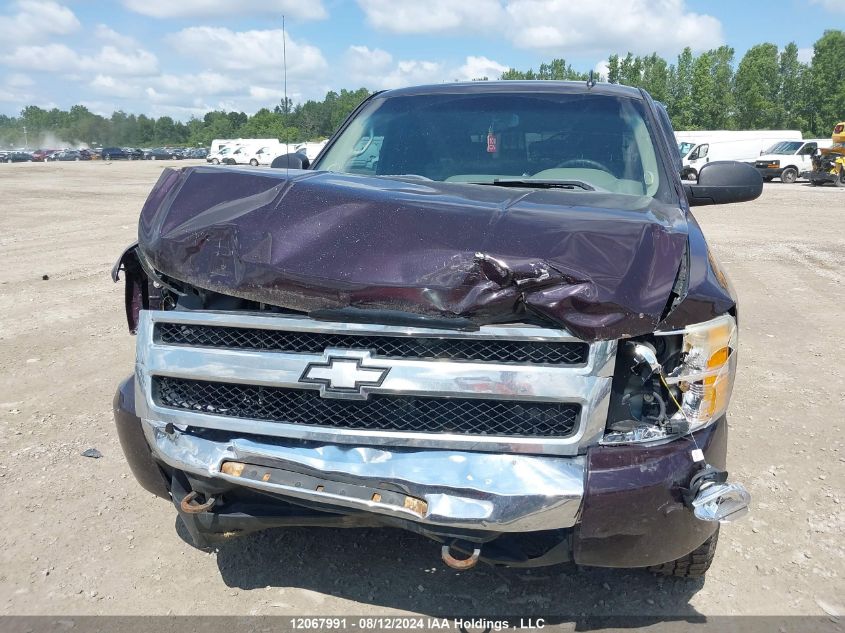 2009 Chevrolet Silverado 1500 VIN: 1GCEK19C99Z145064 Lot: 12067991