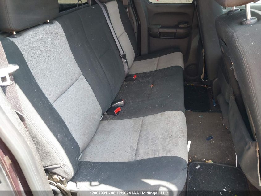 2009 Chevrolet Silverado 1500 VIN: 1GCEK19C99Z145064 Lot: 12067991