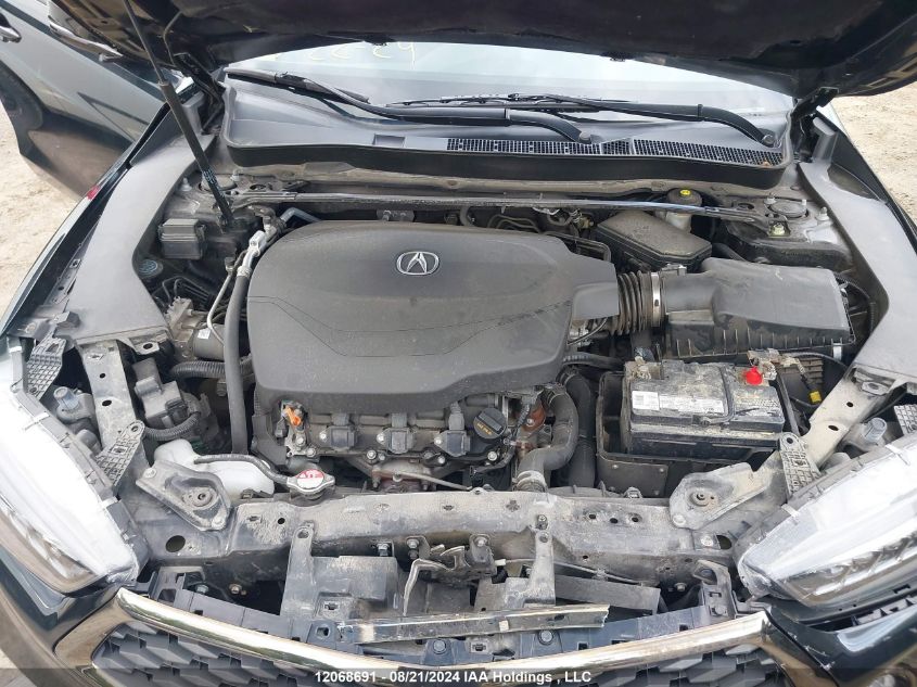2019 Acura Tlx VIN: 19UUB3F68KA801945 Lot: 12068691