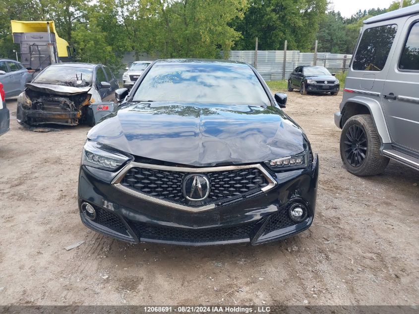 2019 Acura Tlx VIN: 19UUB3F68KA801945 Lot: 12068691