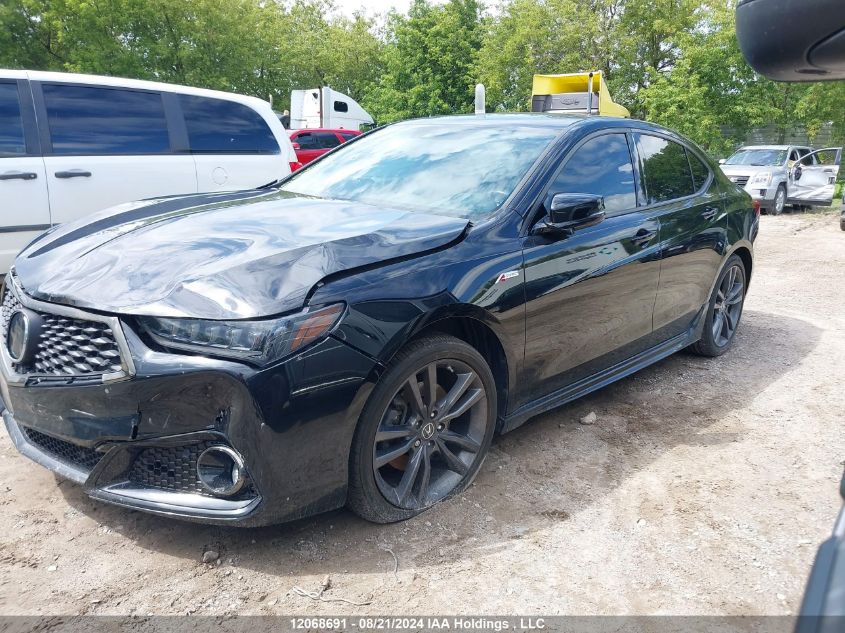 2019 Acura Tlx VIN: 19UUB3F68KA801945 Lot: 12068691